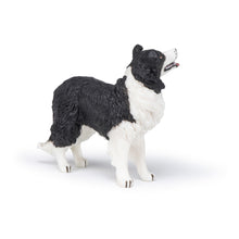 Load image into Gallery viewer, PAPO Dog and Cat Companions Border Collie Toy Figure (54008)

