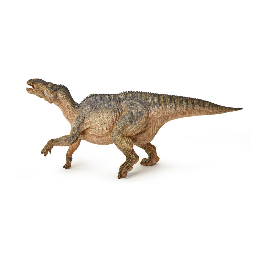 PAPO Dinosaurs Iguanodon Toy Figure (55071)
