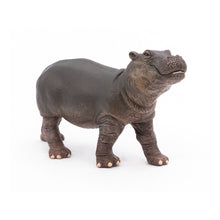 Load image into Gallery viewer, PAPO Wild Animal Kingdom Hippopotamus Calf Toy Figure (50052)
