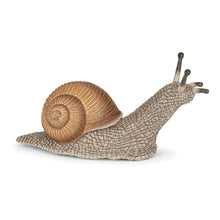 Load image into Gallery viewer, PAPO Wild Animal Kingdom Snail Toy Figure (50262)
