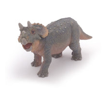 Load image into Gallery viewer, PAPO Dinosaurs Young Triceratops Toy Figure (55036)
