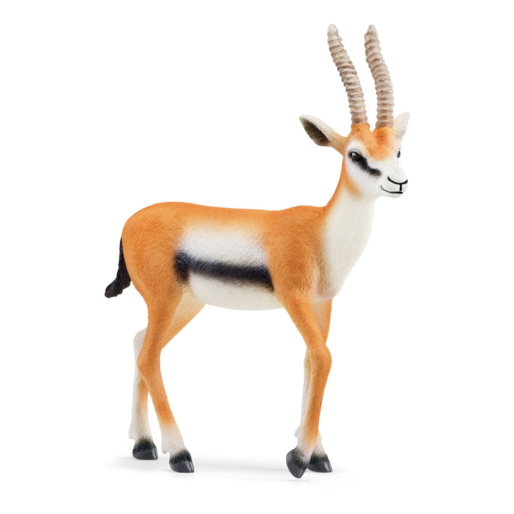 SCHLEICH Wild Life Thomson Gazelle Toy Figure (14861)